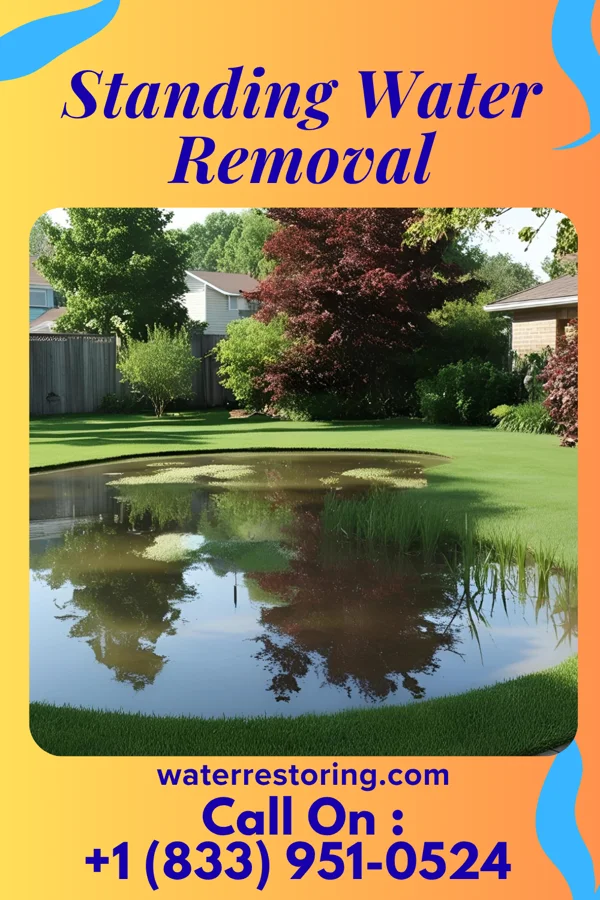 Standing Water Removal in Scandia, KS